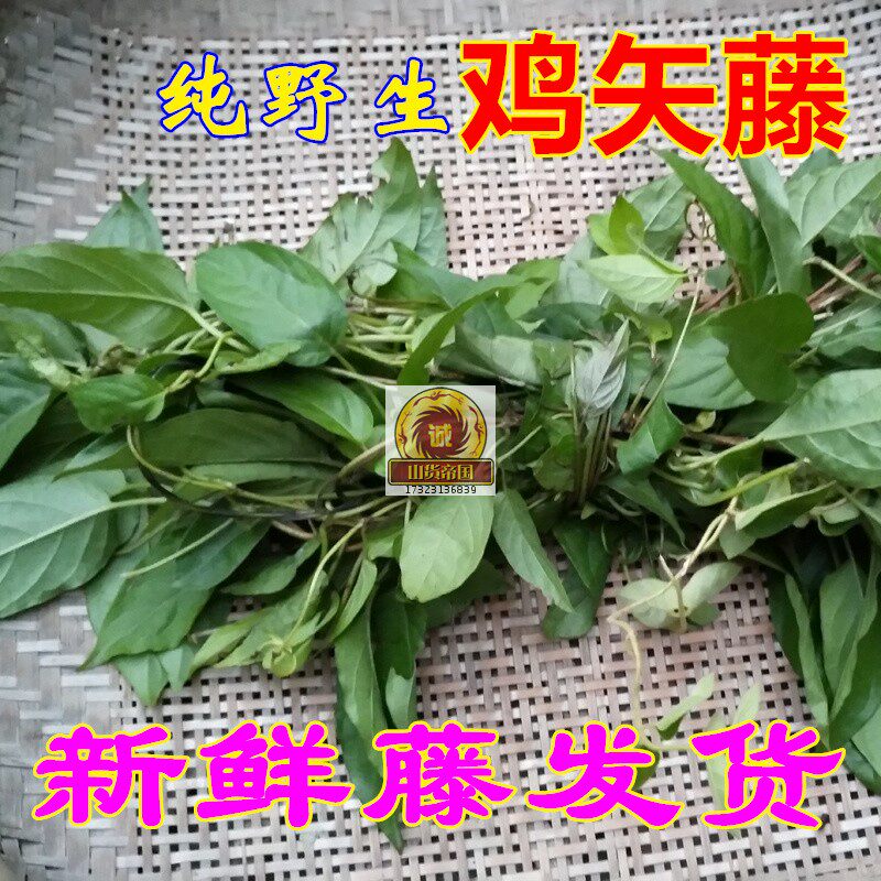 新鲜鸡屎藤 现采野生鸡矢藤鲜臭藤通气消食500g包邮 藤叶一起发货