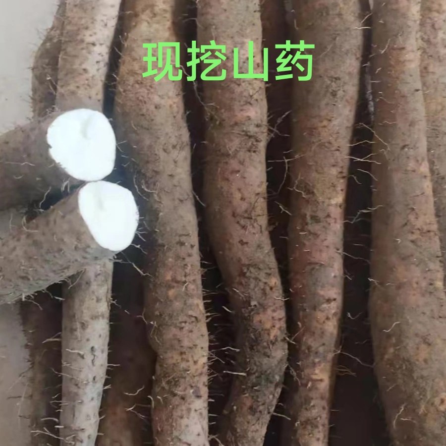 福建三明客家 现挖山药 小叶子雪薯 安沙薯仔 煲汤粉糯 健脾养胃