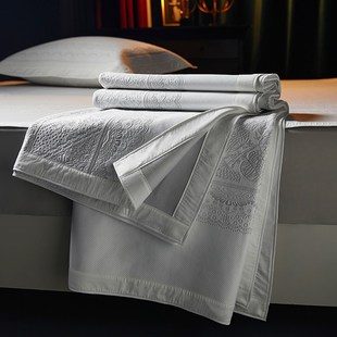 母婴级a类家用冰丝软凉席三件套202K5新款 新品 夏天可水洗折叠空调