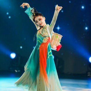 新选采菊东篱下古典舞演出服女飘C逸中国风汉唐独舞大摆裙艺考舞