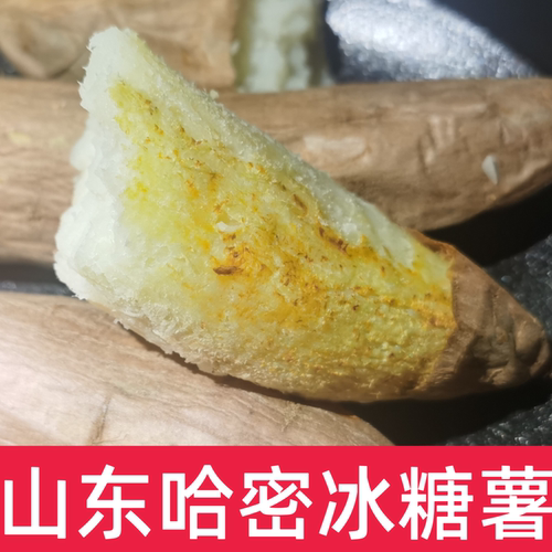 山东新鲜红皮白哈密冰糖薯2026年新沙土红薯白瓤白心地瓜包邮