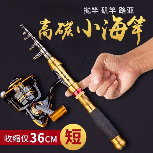 迷你海杆路亚钢笔远投小矶竿