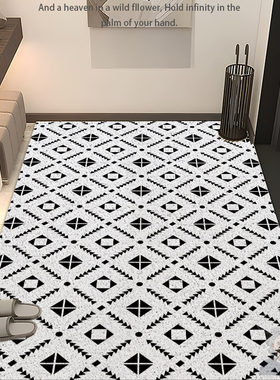 黑白极简入户门丝圈地垫进门玄关抗污防脏可裁剪可定制防滑脚垫