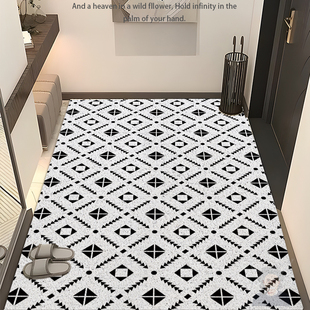 黑白极简入户门丝圈地垫进门玄关抗污防脏可裁剪可定制防滑脚垫