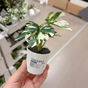 新品宜家代购FEJKA菲卡人造盆栽带花盆北欧慵懒家装饰品小龟背竹