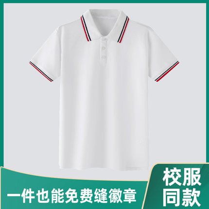 校服短袖polo衫中学生高中夏季定制一模一样儿童小学生班服套装