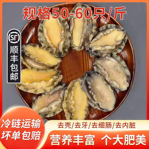即食鲍鱼肉海捕新鲜冷冻鲜活鲍鱼