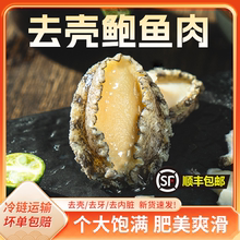 鲍鱼肉鲜活冷冻去壳去内脏小鲍鱼仔烧烤串串冰鲜商用海鲜火锅食材
