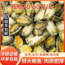 去壳冷冻鲍鱼肉海鲜鲜活超大鲍鱼商用小鲍鱼酒店餐饮加热即食鲍鱼