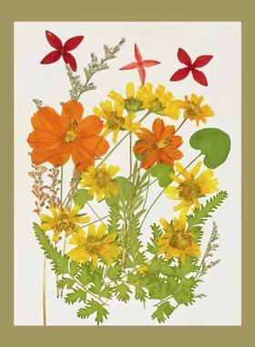 黄色diy混合干花压花材料包滴胶树叶标本画儿童手工植物标本