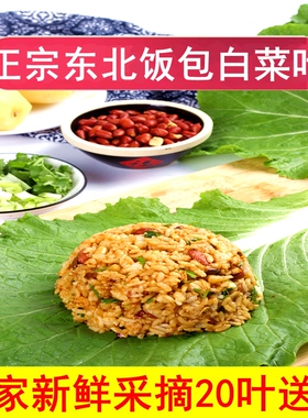 东北饭包白菜叶农家打饭包的大白菜叶新鲜蔬菜蘸酱菜组合20片送酱