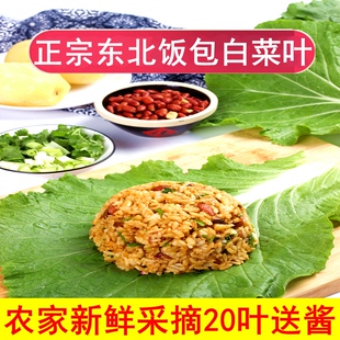 东北饭包白菜叶农家打饭包的大白菜叶新鲜蔬菜蘸酱菜组合20片送酱