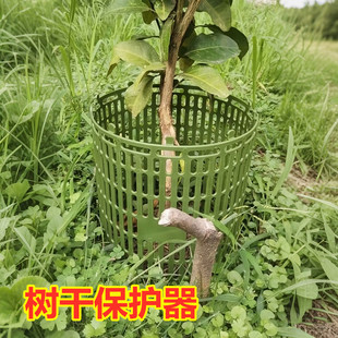 树苗保护器室内花草保护套室外种植苗木防护树干保护罩树皮防护板