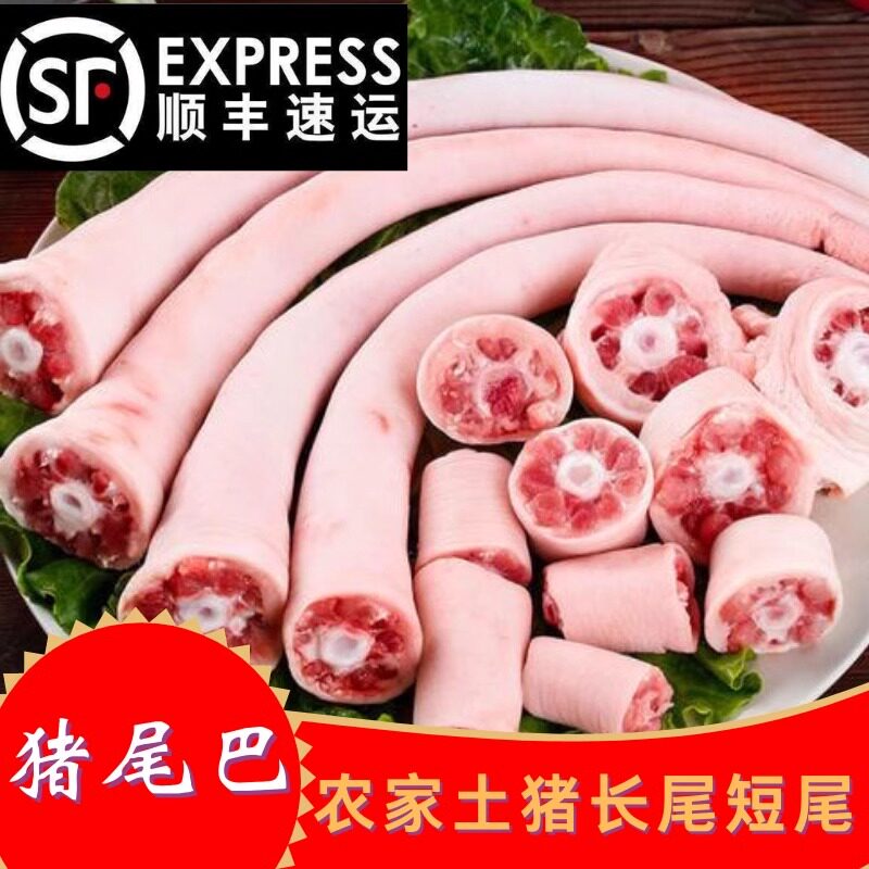 【顺丰包邮】新鲜猪尾巴整根干净无毛猪长尾猪短尾猪中长尾烧烤