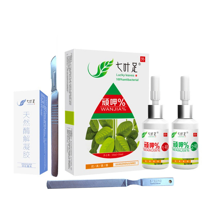 七叶足多少钱 七叶足价格表 厂家直销