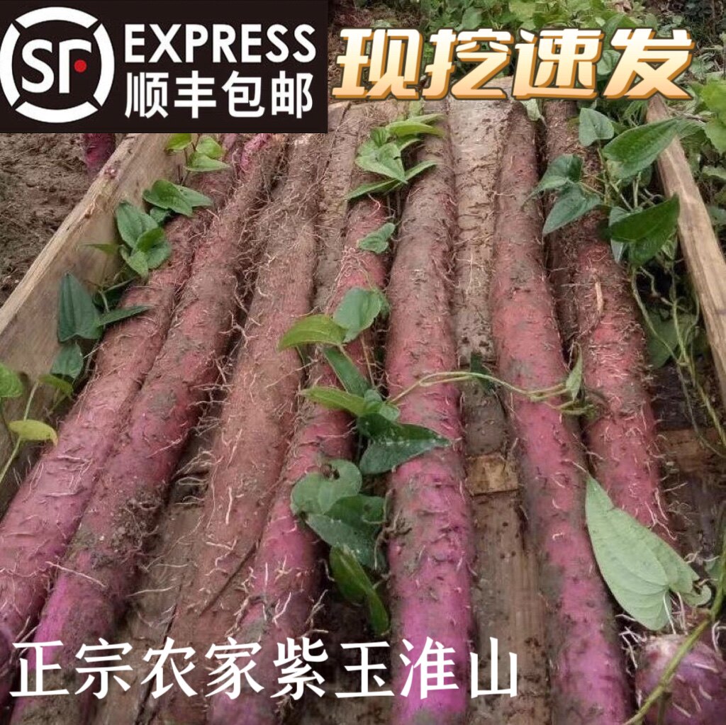 【顺丰包邮】现挖当天发货广西特新鲜山药