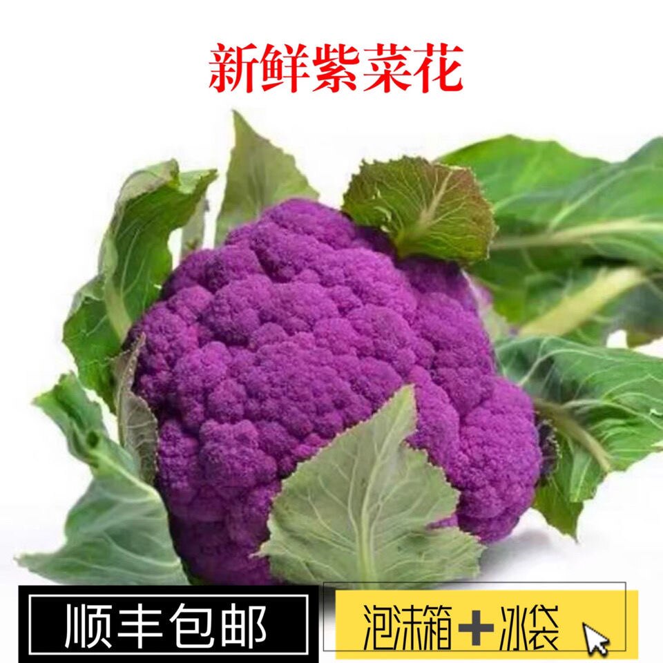 新鲜紫色花菜现摘松花菜紫花椰菜紫菜花时令农家蔬菜4斤顺丰包邮