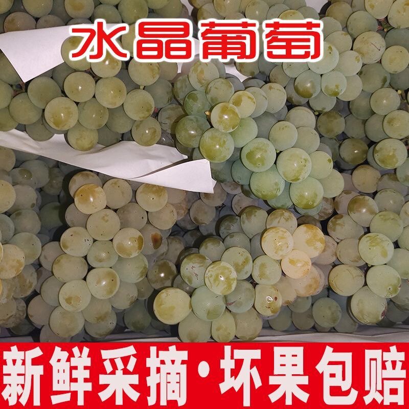 湖南水晶葡萄新鲜孕妇水果青葡萄现摘