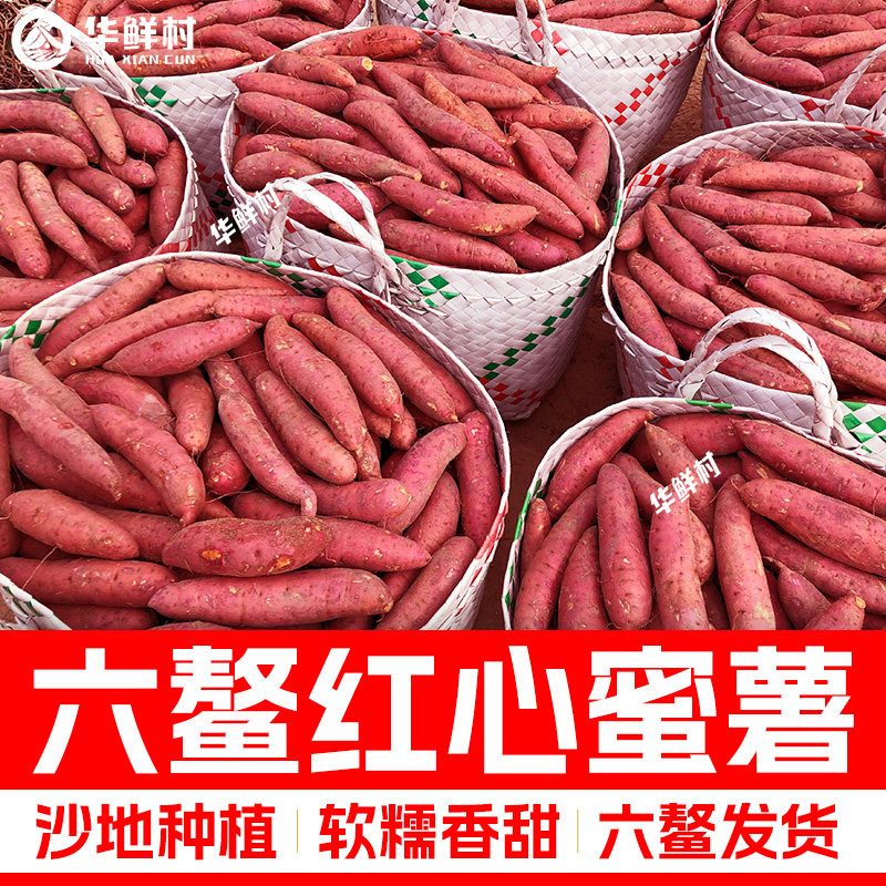 福建漳州六鳌红蜜薯农家自种蔬菜新鲜沙地红心红薯大小番薯5