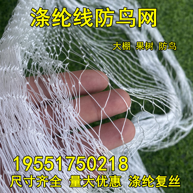 涤纶复丝防鸟网果树樱桃葡萄梨树蓝莓果园防鸟用网鱼塘天网防护网