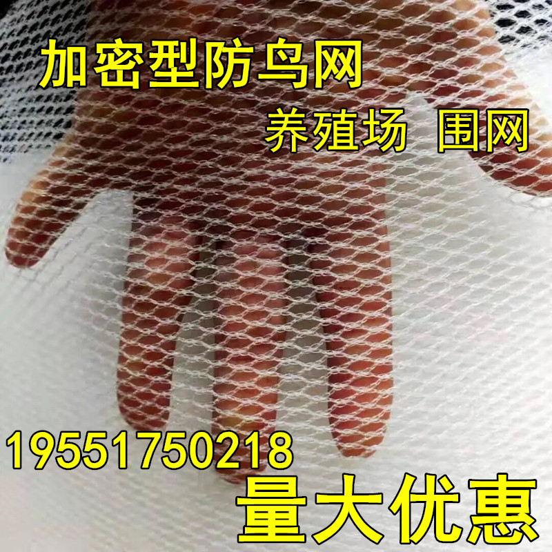 嘉宝果树防鸟网养殖场防鸟家用果树防小鸟樱桃树网枇杷树蔬菜防护
