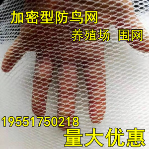 嘉宝果树防鸟网养殖场防鸟家用果树防小鸟樱桃树网枇杷树蔬菜防护