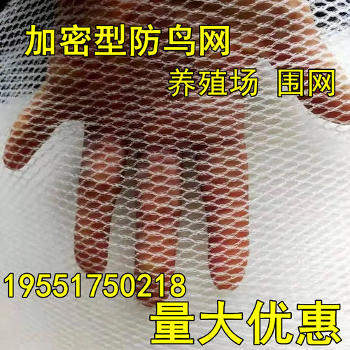 嘉宝果树防鸟网养殖场防鸟家用果树防小鸟樱桃树网枇杷树蔬菜防护