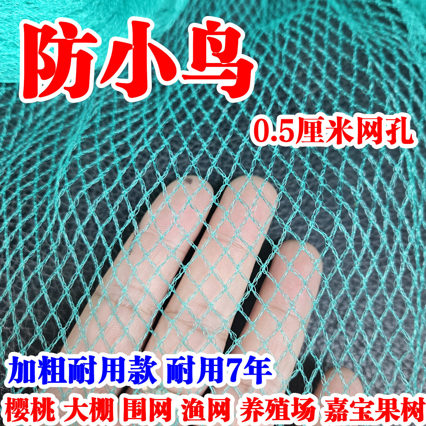 嘉宝果树防鸟网农用大棚防护网樱桃枇杷杨梅树防鸟用的网无结的网