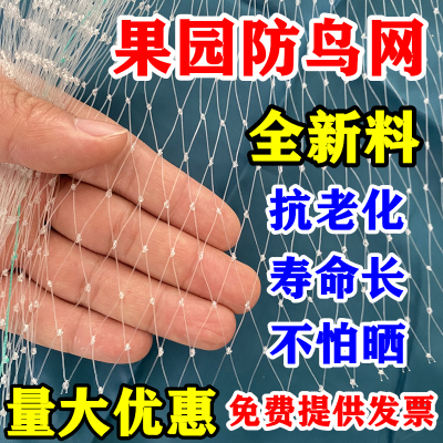 全新尼龙防鸟网抗拉抗晒提供发票