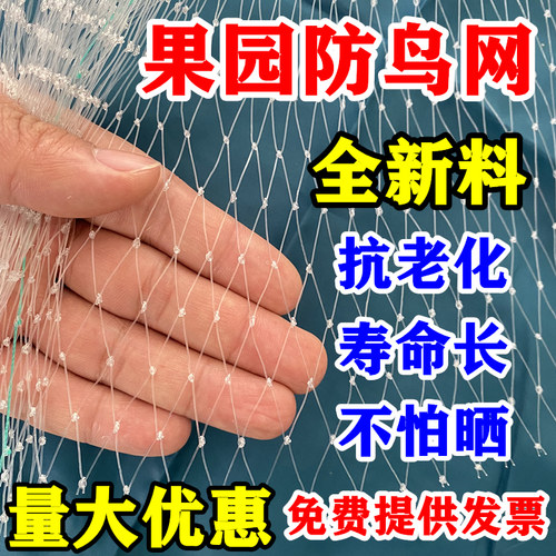 全新尼龙防鸟网抗拉抗晒提供发票