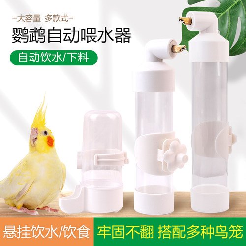 鹦鹉饮水壶鸟撞针出水干净卫生