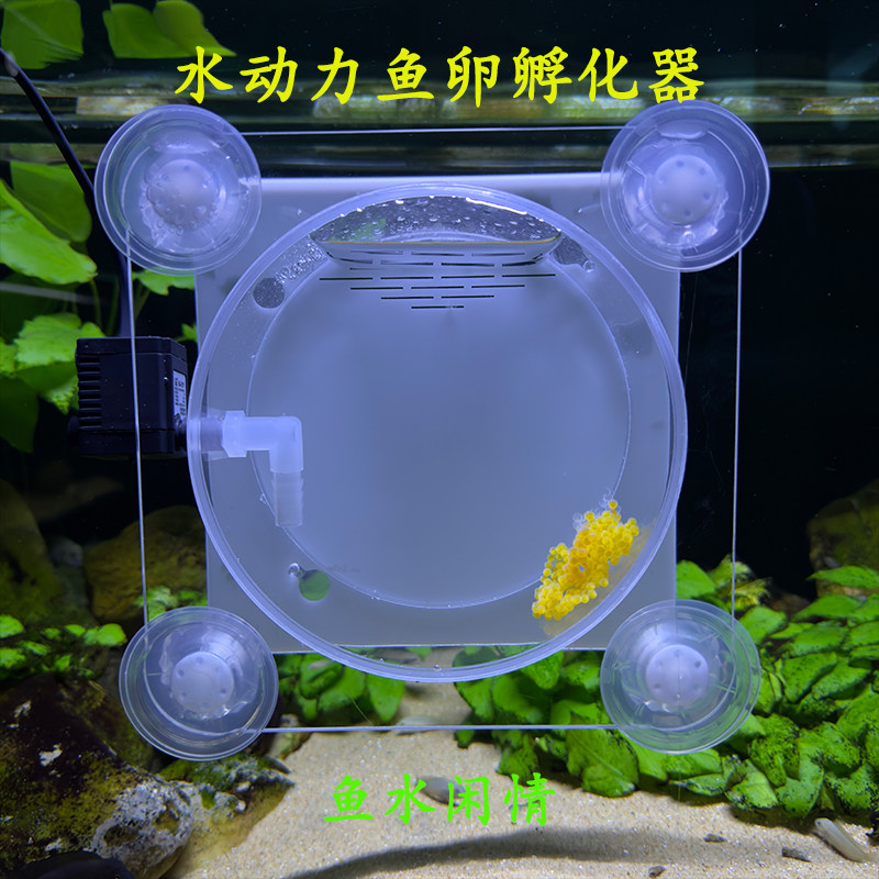 亚克力水动力鱼卵孵化器圆形繁殖