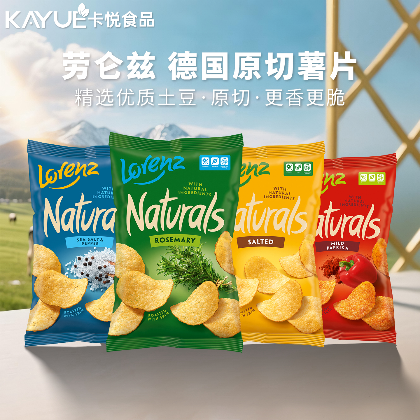 劳仑兹薯片混合100g德国原切