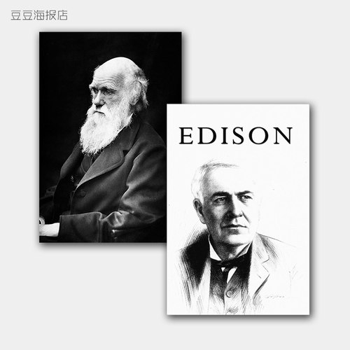 科学家居里夫人牛顿无框装饰画