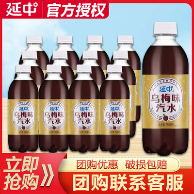 延中乌梅味汽水380ml*12瓶老上海风味气泡水小瓶便携装碳酸饮料