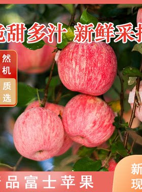 陕北洛川红富士苹果75果中小果箱装2500g脆甜多汁实惠装