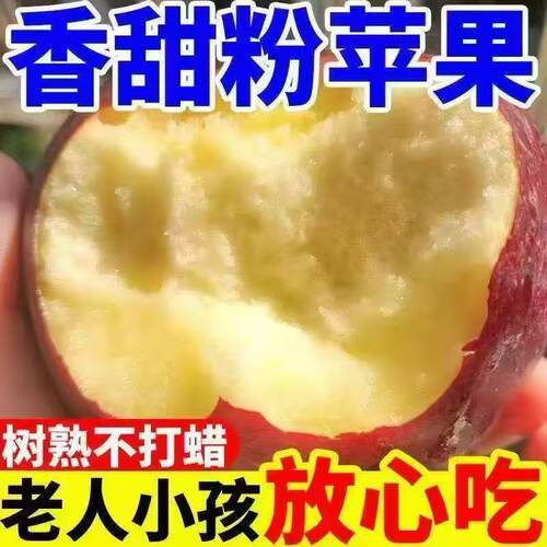 陕西红星苹果粉面嘎啦苹果富士苹果粉面沙甜老人宝宝辅食