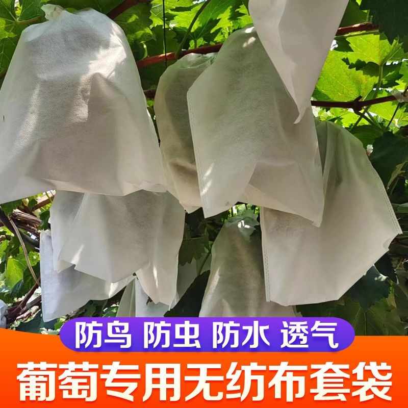 无纺布葡萄套袋水果新型防虫防水防雨桃子梨子羊角蜜防鸟果袋套袋