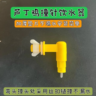 芦丁鸡饮水器撞针式饮水器鹦鹉饮水器宠物用品小鸡喂水喂食器鹌