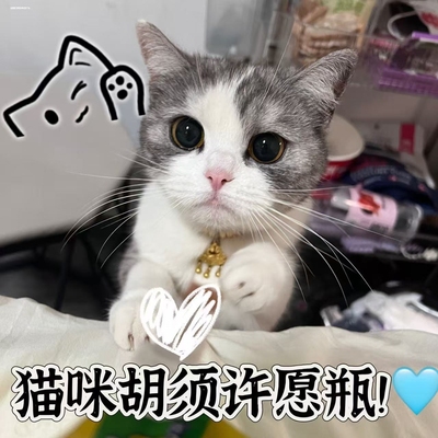 猫咪胡须毛发收纳许愿玻璃瓶宠物乳牙指甲收藏留念收集用品可DIY