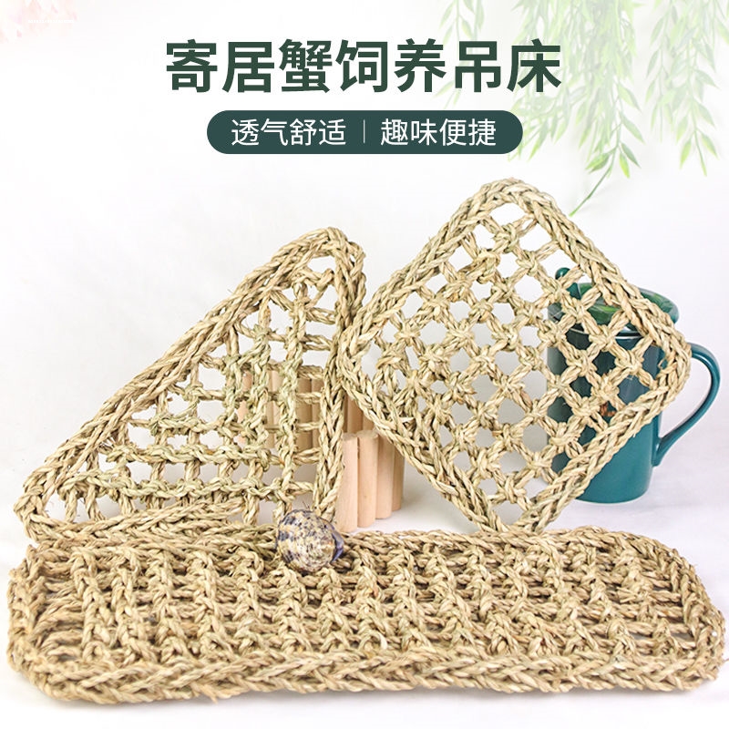 鬃狮蜥吊床蜥蜴海草编织睫角守宫寄居蟹攀爬鹦鹉攀登玩具绳造景