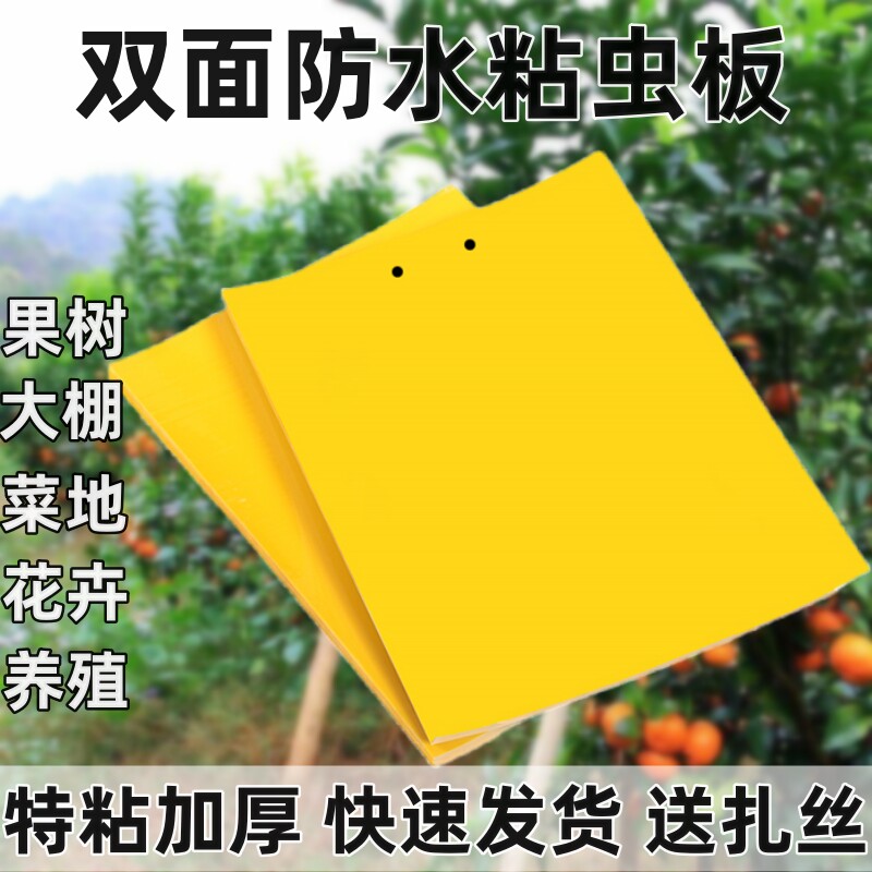 黄板双面粘虫板大棚专用蓟马小黑飞克星茶园果园庭院花卉诱虫蝇板