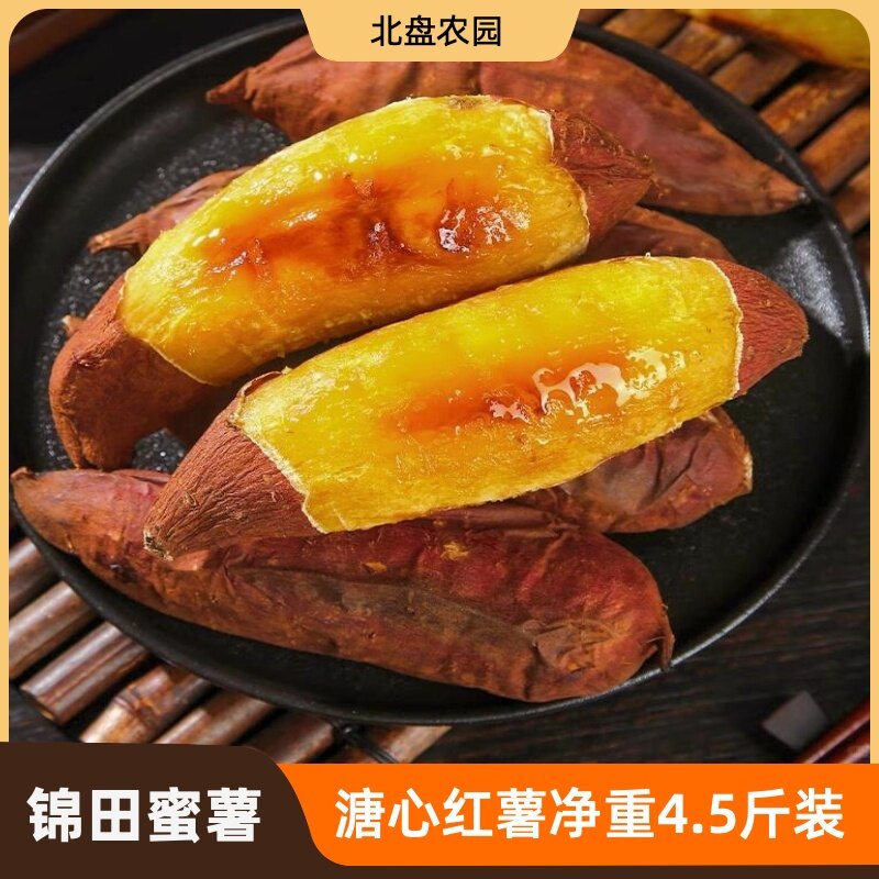 北盘农园玛莎莉蜜薯无筋无丝东北地瓜中小果普通包装4.5斤