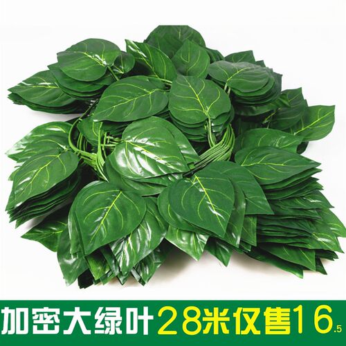 仿真塑料绿藤水管道装饰假花