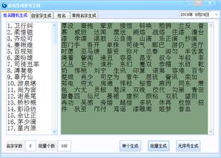 人物公司品牌人名起名字模拟组合生成词汇可自定文字参考软件工具