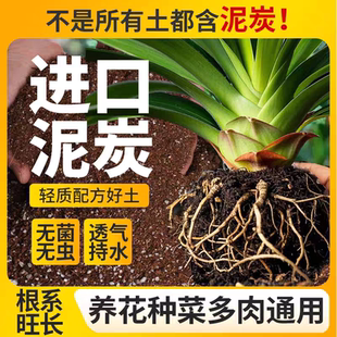 营养土养花进口泥炭土通用种菜专用基质颗粒家用花土盆栽多肉植物