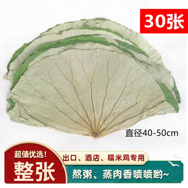 整张荷叶蒸肉蒸饭煮粥泡茶香喷喷