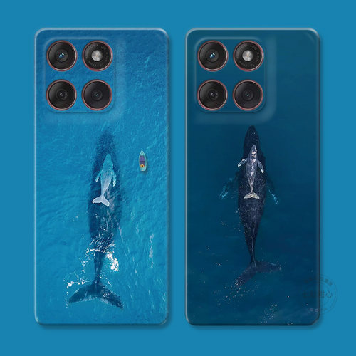 ins风鲸鱼大海适用摩托罗拉edge60pro手机壳50/40/S30/G86G85G84G75G56G55G54文艺男生简约个性创意女款软