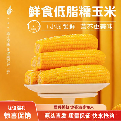 新疆天山雪水灌溉鲜食香甜糯玉米