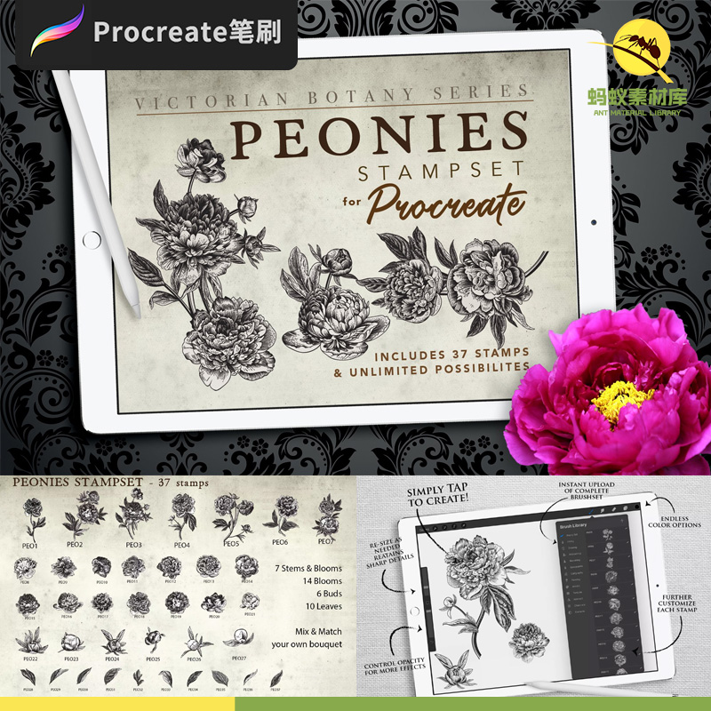 复古刺青纹身花草牡丹图案线稿Procreate笔刷触iPad绘画设计素材